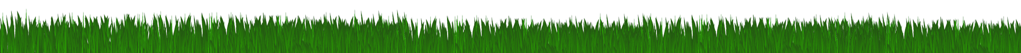 Evergreen grass Bury